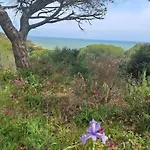 Da Falésia, O Estúdio Da Aldeia Acoteias