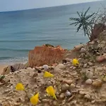 شقة Da Falesia, O Estudio Da Aldeia Acoteias البوفيرا