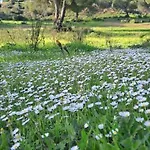 Da Falésia, O Estúdio Da Aldeia Acoteias Apartamento