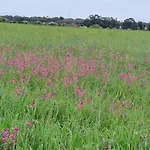 Da Falesia, O Estudio Da Aldeia Acoteias
