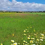 Da Falésia, O Estúdio Da Aldeia Acoteias