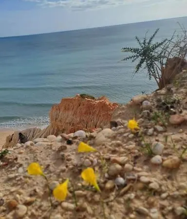 Appartement Da Falésia, O Estúdio Da Aldeia Acoteias Albufeira