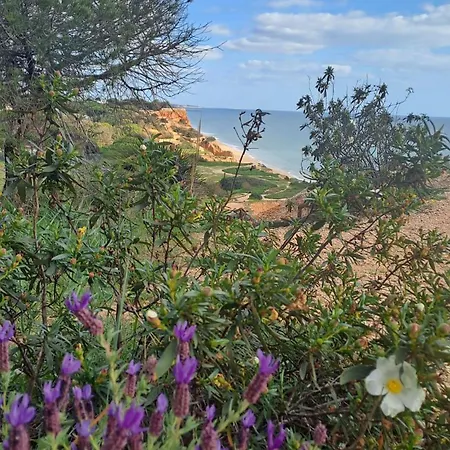Da Falésia, O Estúdio Da Aldeia Acoteias Albufeira
