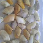 Apartamento Da Falesia, O Estudio Da Aldeia Acoteias Albufeira