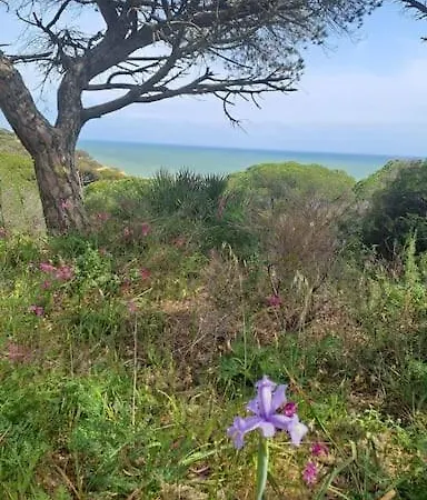 Da Falesia, O Estudio Da Aldeia Acoteias