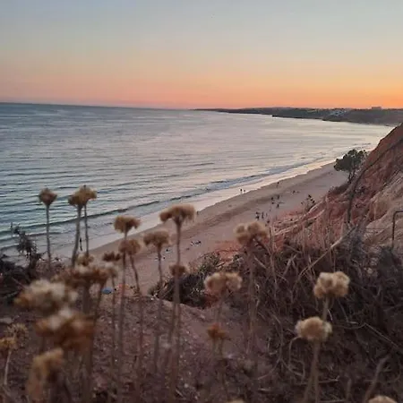 Apartament Da Falesia, O Estudio Da Aldeia Acoteias