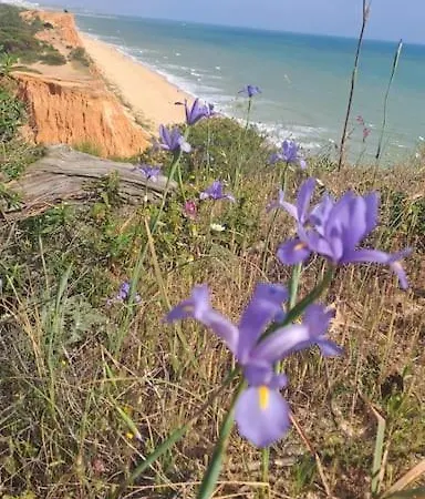 Apartamento Da Falesia, O Estudio Da Aldeia Acoteias