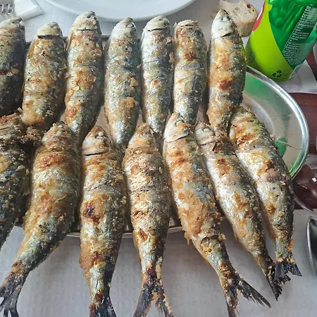 Da Falesia, O Estudio Da Aldeia Acoteias Albufeira