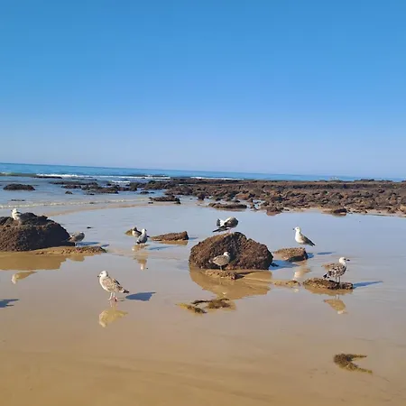 Da Falesia, O Estudio Da Aldeia Acoteias Apartament *