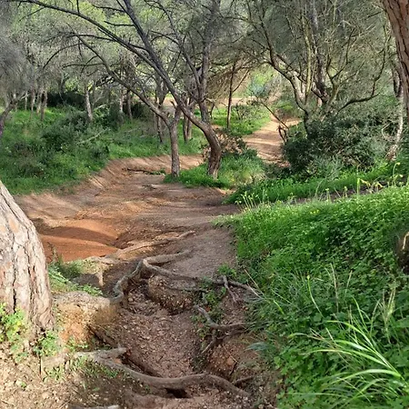 Da Falesia, O Estudio Da Aldeia Acoteias Apartament