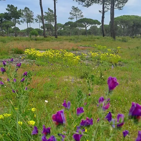Apartament Da Falesia, O Estudio Da Aldeia Acoteias Albufeira