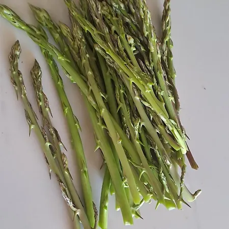 Da Falesia, O Estudio Da Aldeia Acoteias * Albufeira