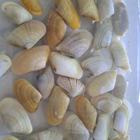 Apartamento Da Falesia, O Estudio Da Aldeia Acoteias Albufeira