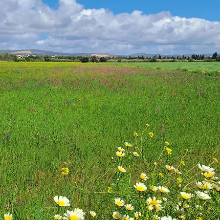 Da Falesia, O Estudio Da Aldeia Acoteias