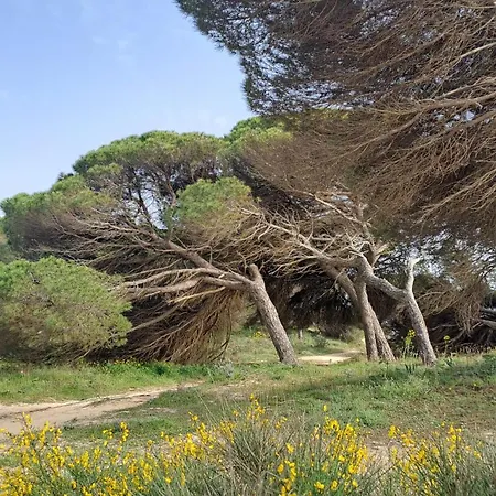 Da Falesia, O Estudio Da Aldeia Acoteias Apartament *