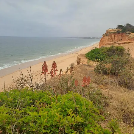 Apartamento Da Falesia, O Estudio Da Aldeia Acoteias Albufeira