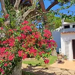 Da Falesia, O Estudio Da Aldeia Acoteias Апартаменты