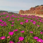 Da Falesia, O Estudio Da Aldeia Acoteias