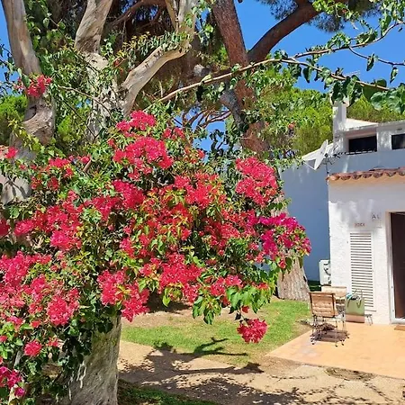 Da Falesia, O Estudio Da Aldeia Acoteias アパート
